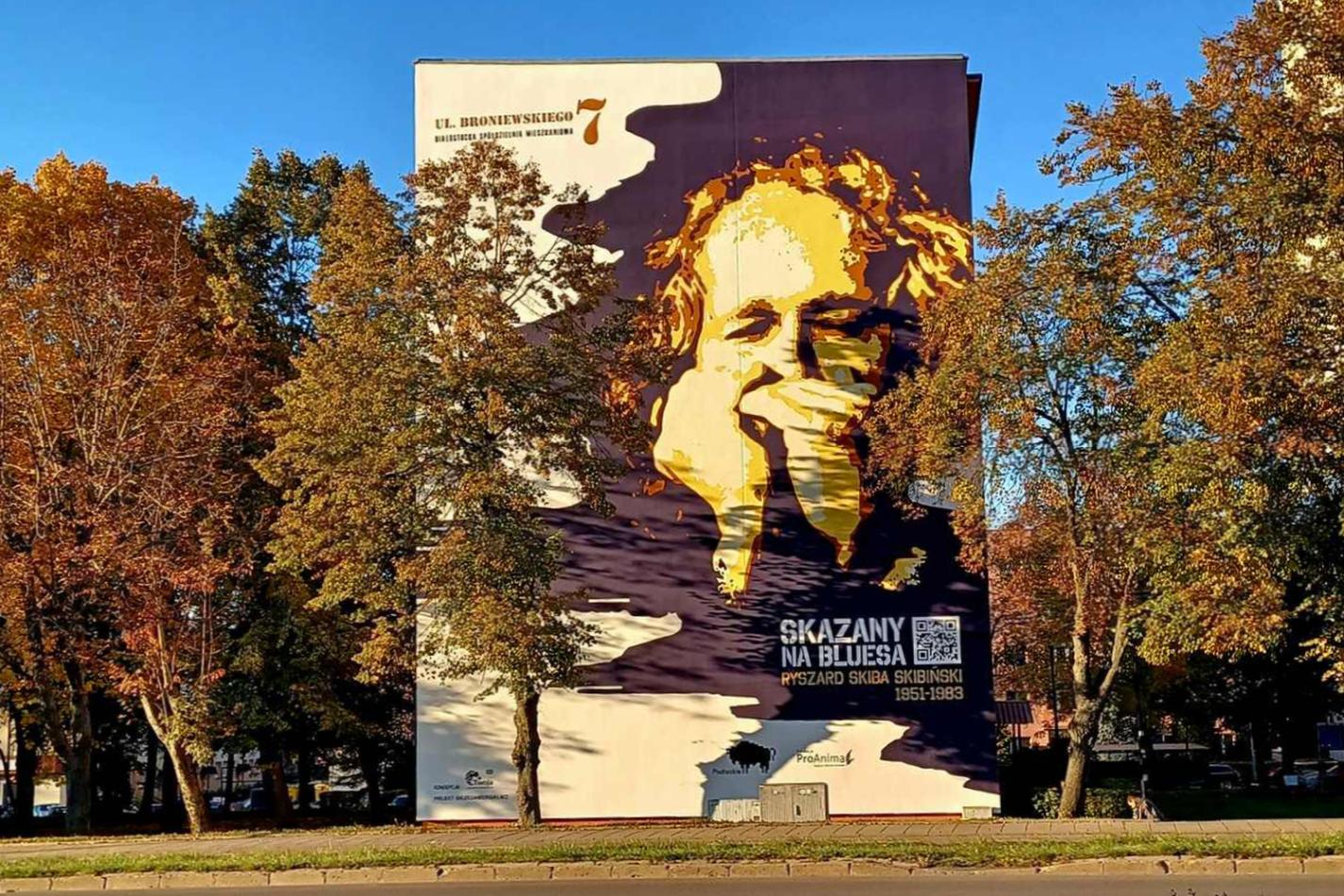 Mural najlepiej widać z alei Solidarności w Białymstoku, fot. Foto: Wojciech Rędziński 