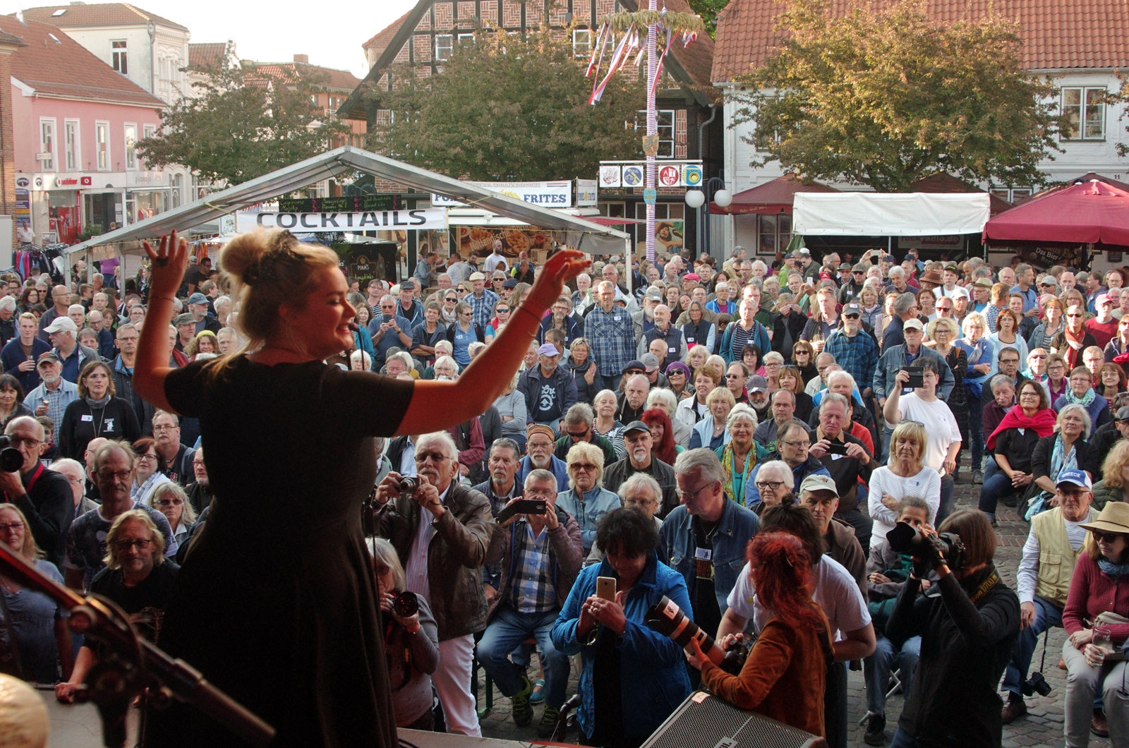 Blues Junkers at 29. BluesBaltica/Bluesfest Eutin , by Helge Nickel